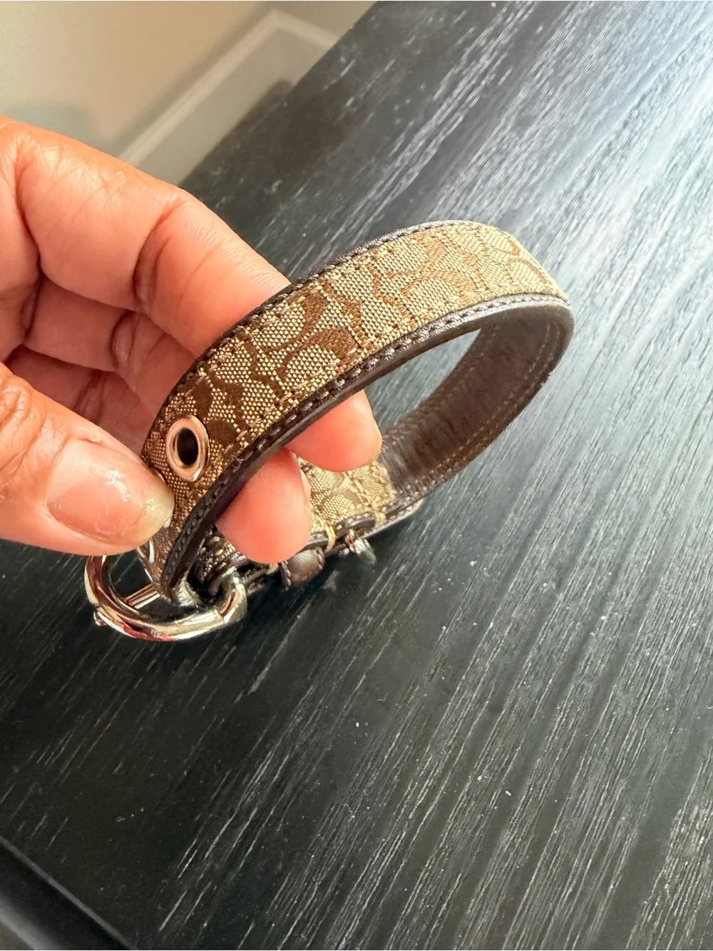 Authentic Coach Monogram Brown  Leather Trim Dog Collar with Silver Hardware
